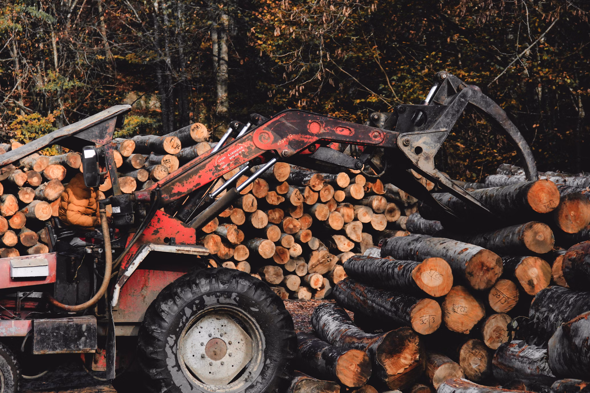 Forestry
