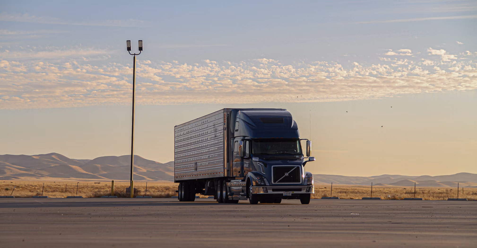 Truck & Bus